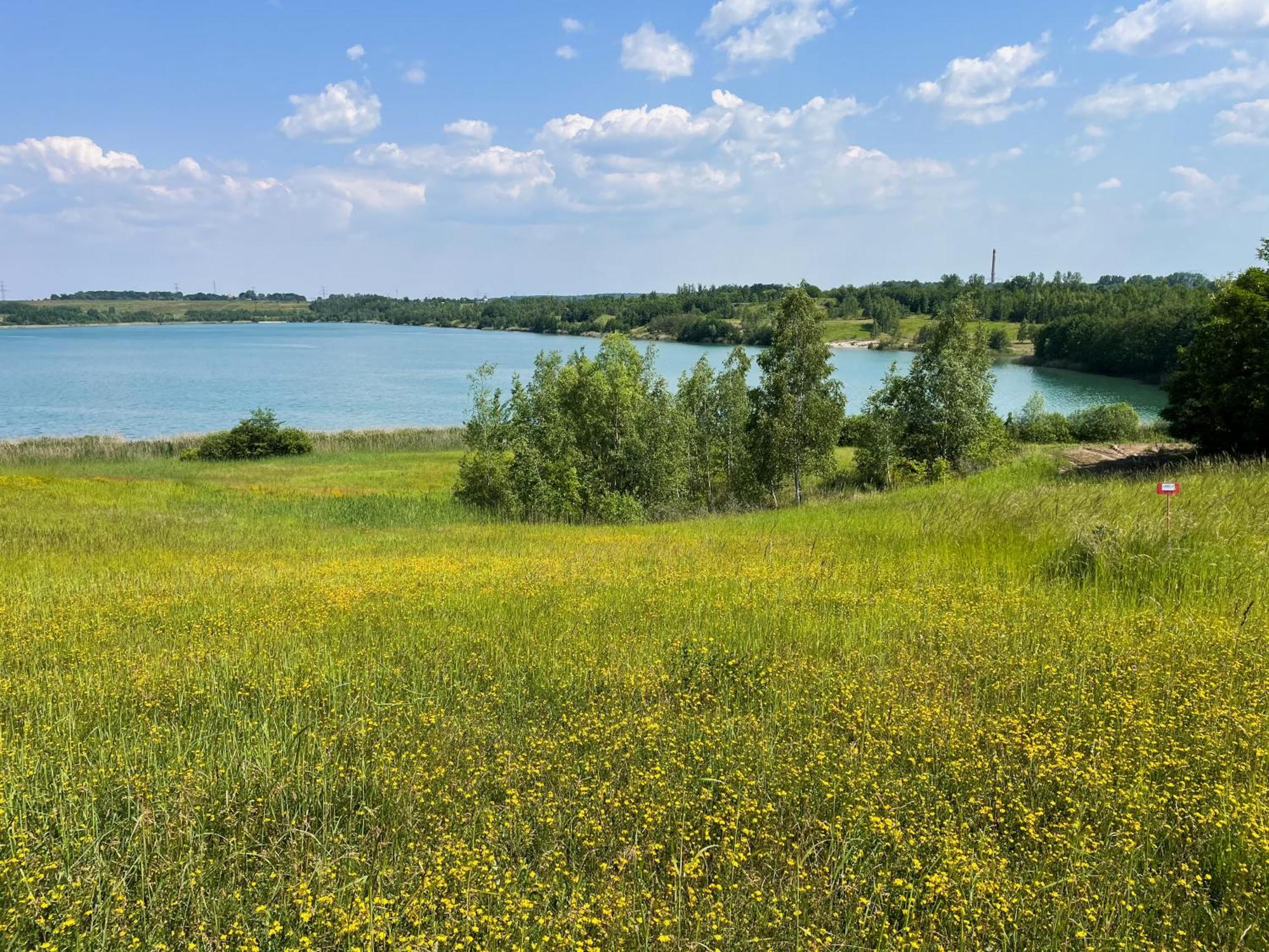 Haus Im Schilf 1 - Ferienwohnungen Am Hainer See Bei Leipzig Neukieritzsch Exterior foto